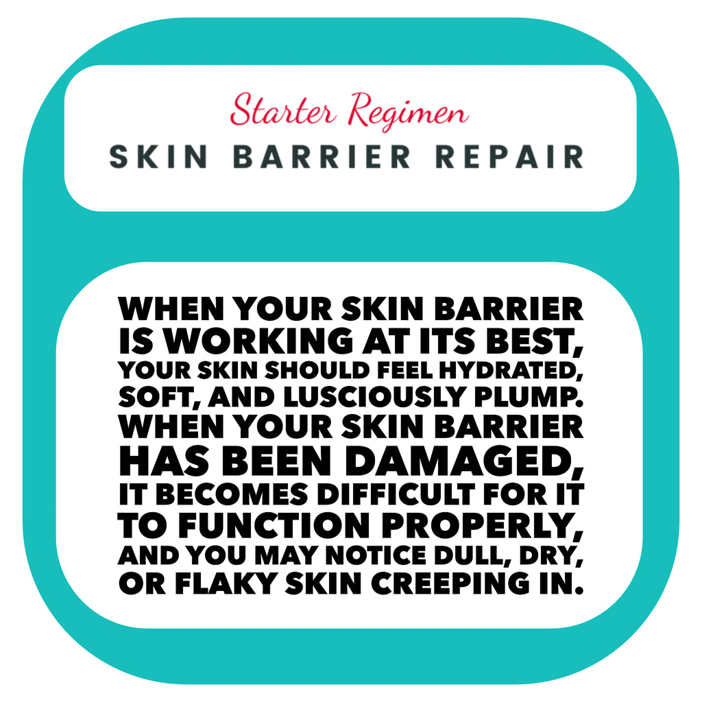 Skin Barrier Repair Starter Regimen